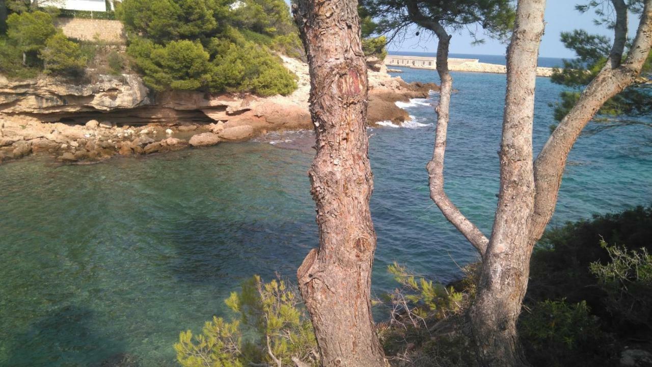 Mi Morena Cala Llobeta 35