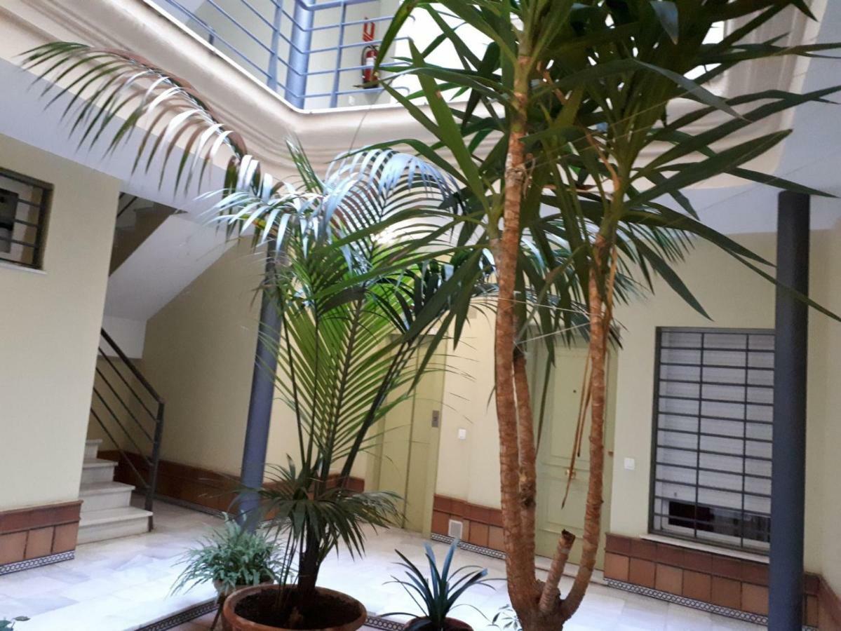 Apartment Calle Armas,9 *