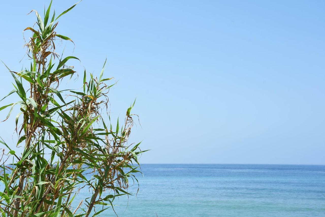 Casara Seis O Casara Siete - Tu Casa A 100m De La Playa De Casa rural *