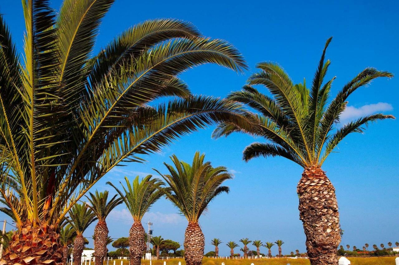 Casara Seis O Casara Siete - Tu Casa A 100m De La Playa De * Zahora