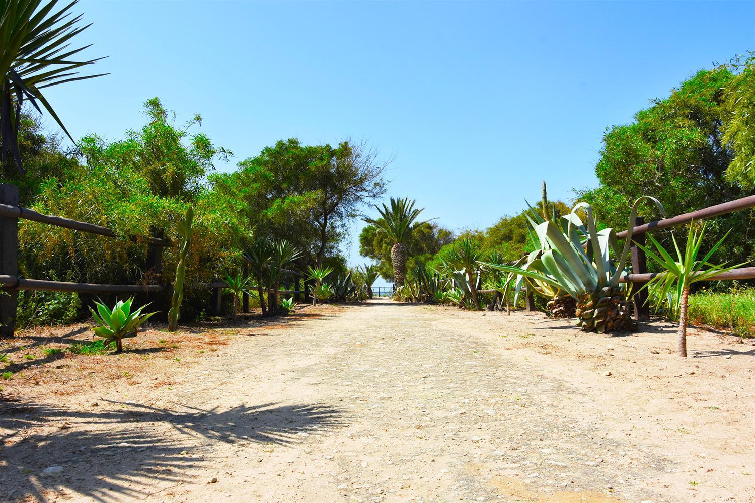 Casara Seis O Casara Siete - Tu Casa A 100m De La Playa De Zahora
