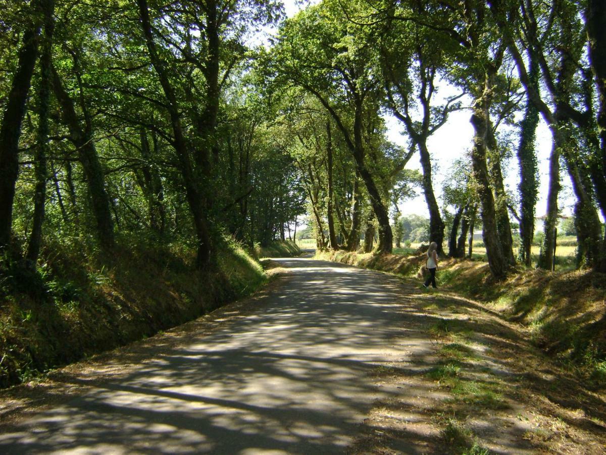 Country house Stone Cottage O Cebreiro *