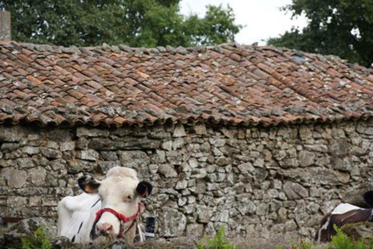 Stone Cottage O Cebreiro * Curtis