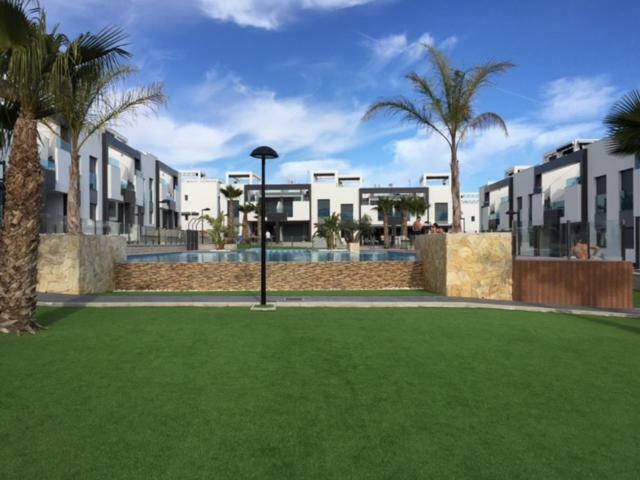 Oasis 7 *