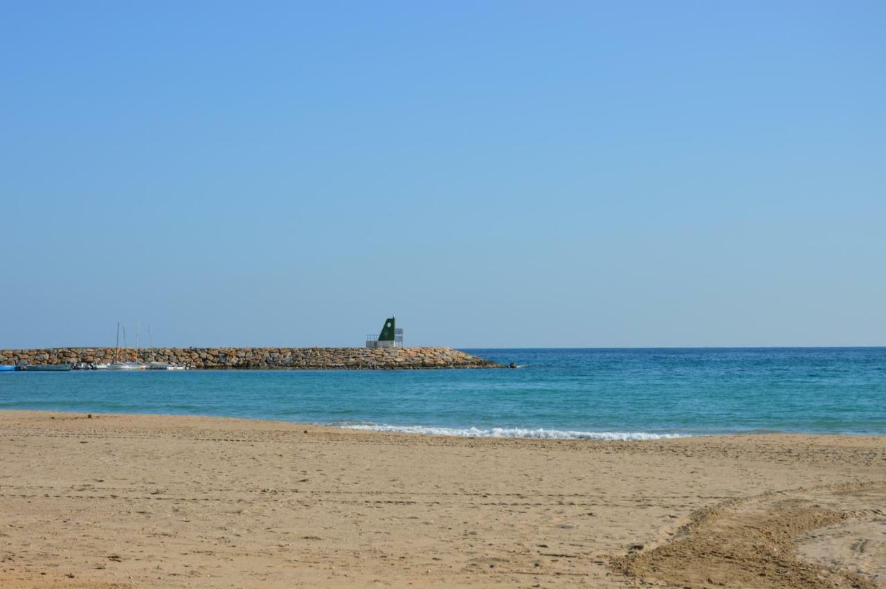 Alicante Dariodoris El Campello