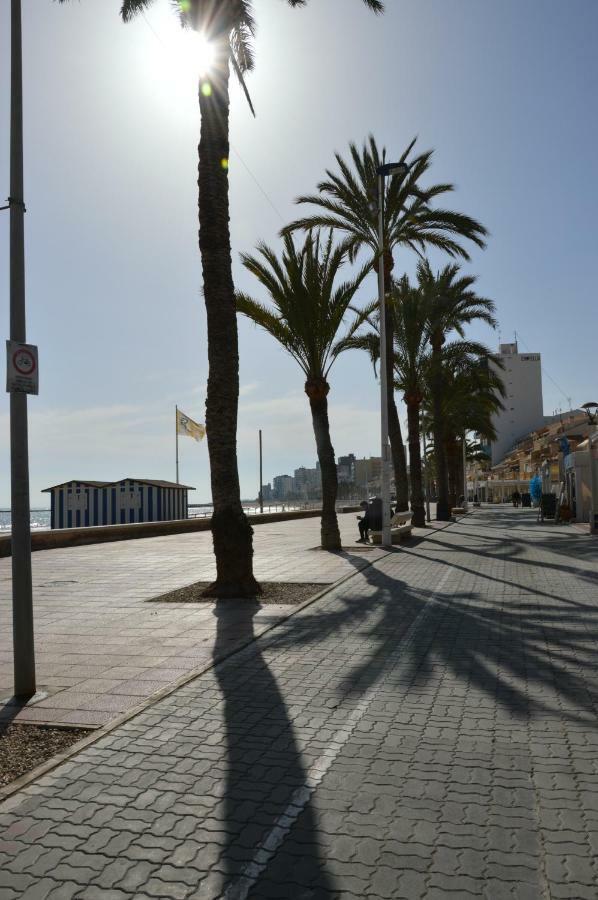 Alicante Dariodoris *