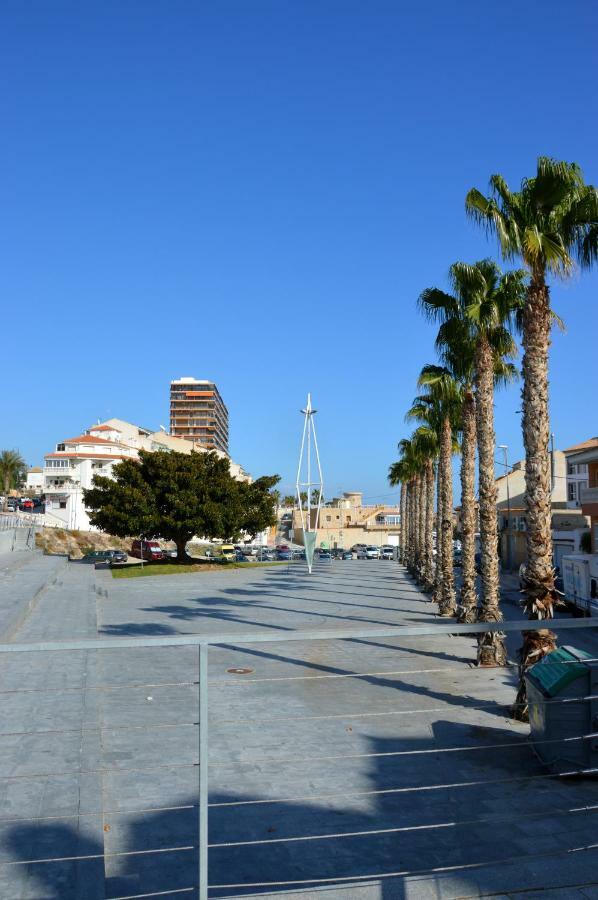 Alicante Dariodoris *