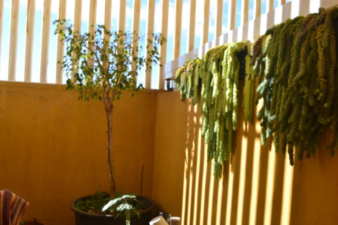 Homestay Fano's House - En Vivienda Particular *