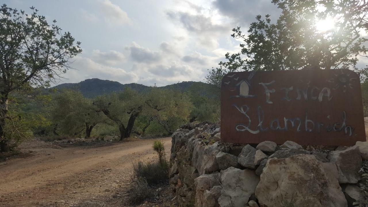 Country house Finca Llambrich *
