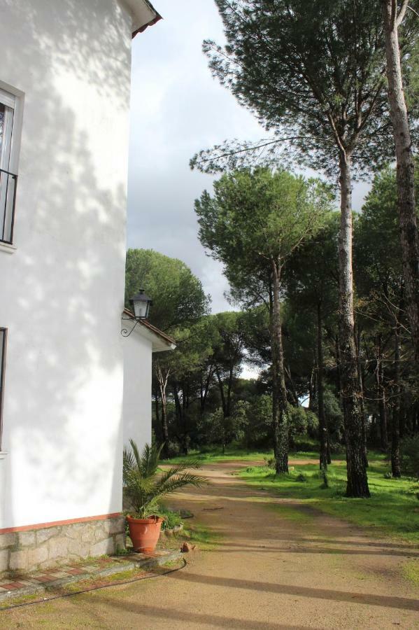 Vina Concepcion Holiday home *