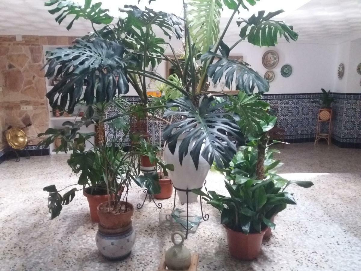 Casa Labradora Habitación en casa particular