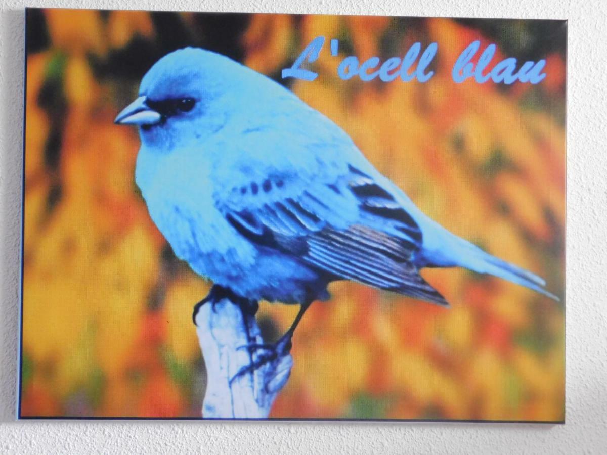 L'ocell Blau Сasa de vacaciones Miami Platja (Miami Playa)