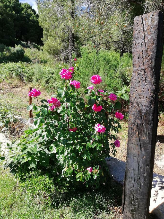Refugio Perdigones