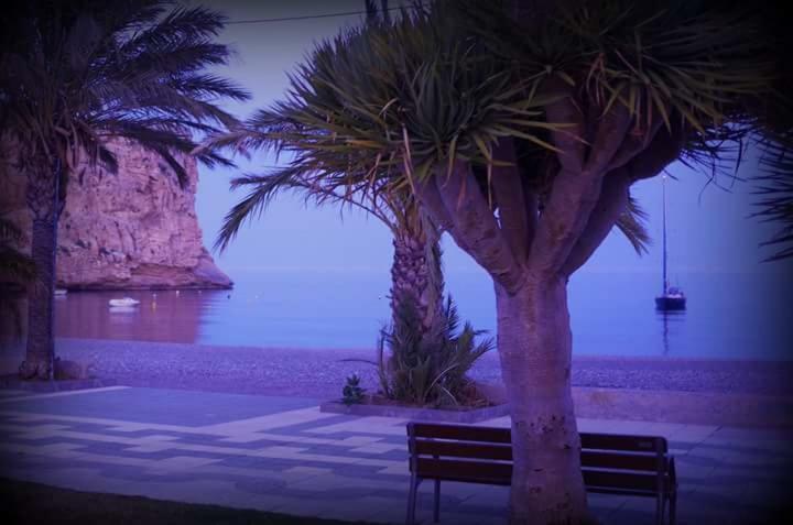Neverending Rijana. ¡cala Rijana A Tu Alcance! Apartamento *