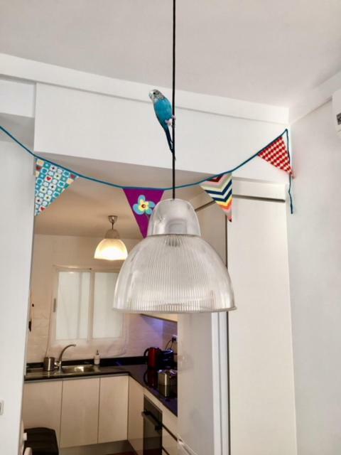 Cozy Hall Apartamento