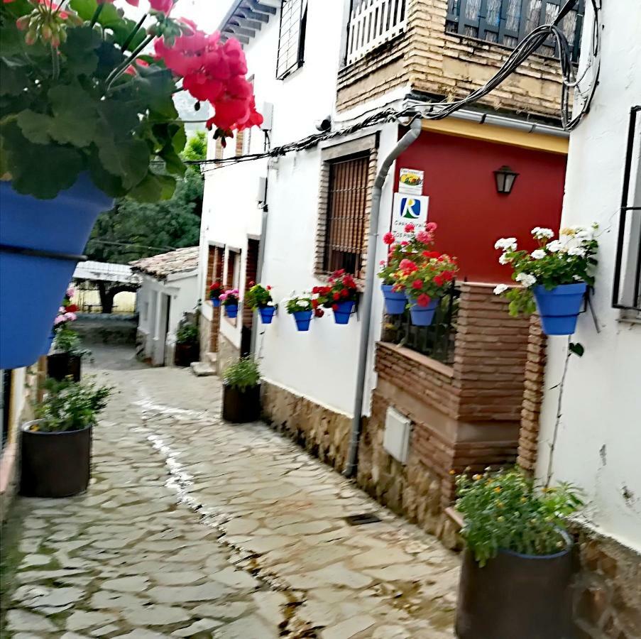 Vivienda Pineros Arroyo Frío
