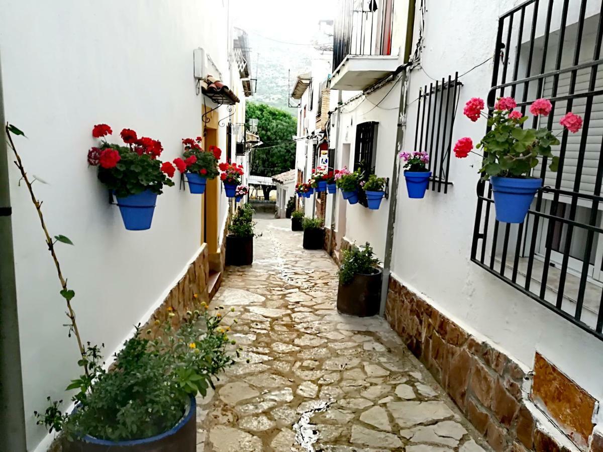 Vivienda Pineros Arroyo Frío