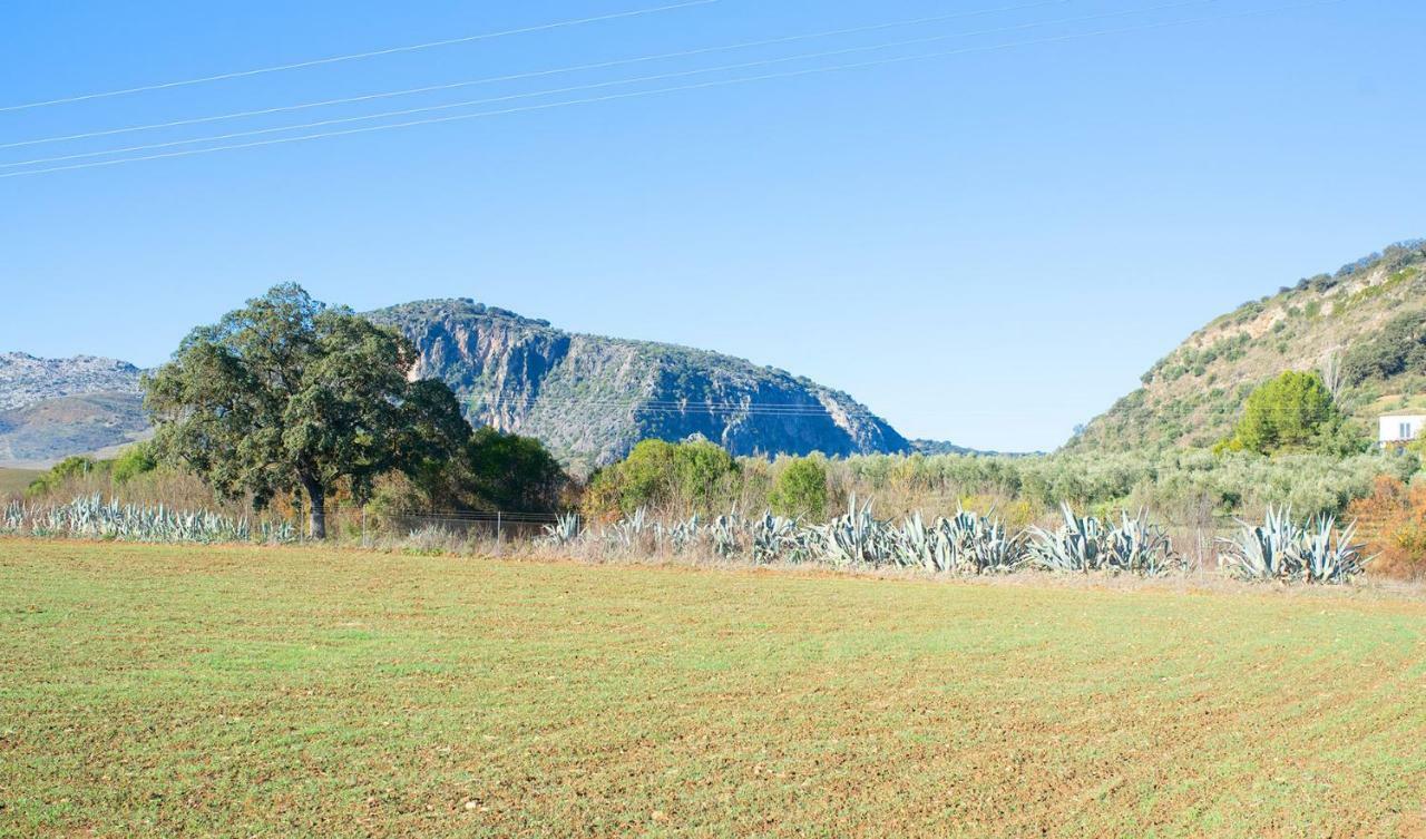 Huerta La Laja,casa Grande