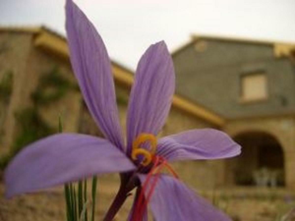 Casilla Del Pinar Holiday home