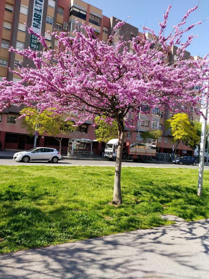 Grand Via Apartamento