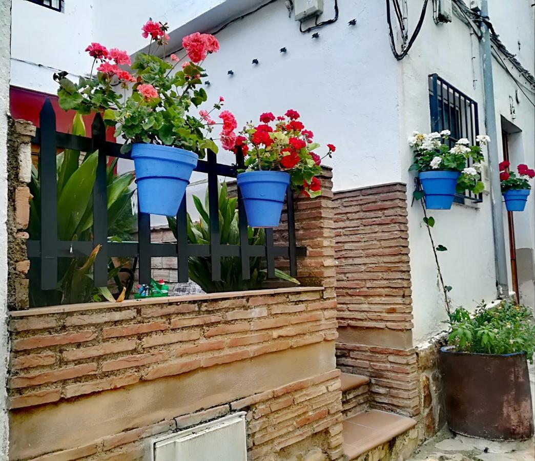 Vivienda Pineros Apartamento *