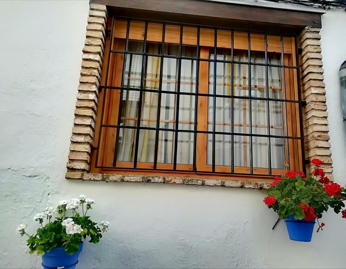Vivienda Pineros Apartamento