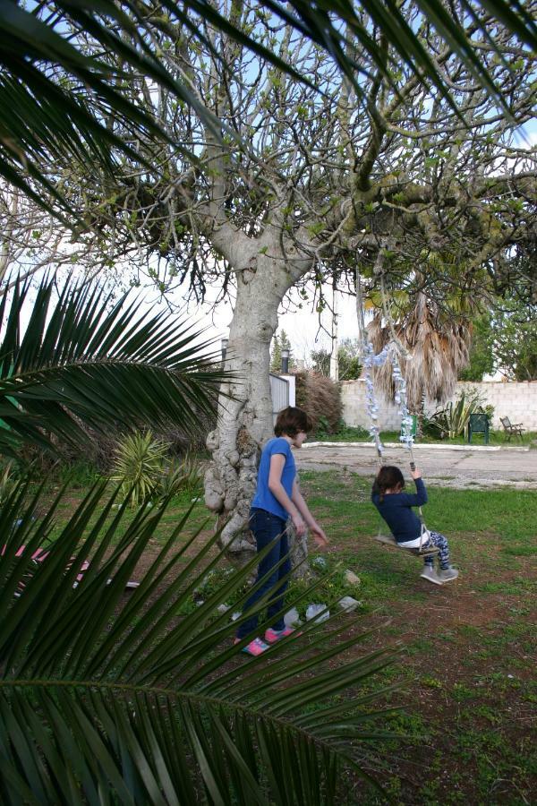 Fig Tree *