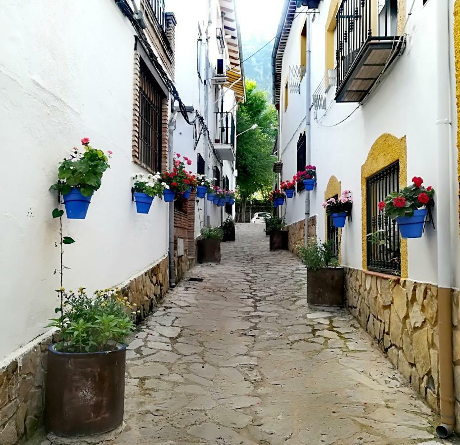 Vivienda Pineros