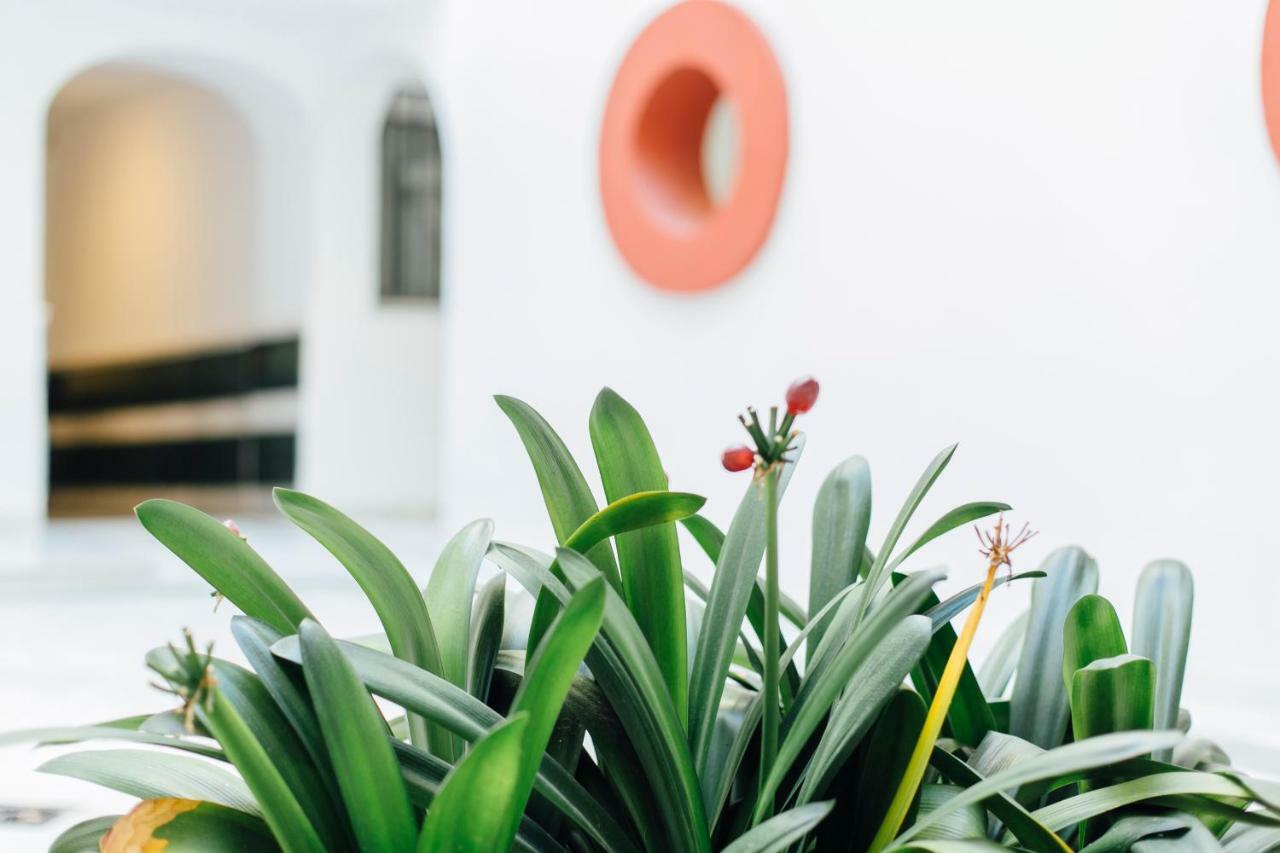 Apartamento One & Lux- Lagar Sevilla