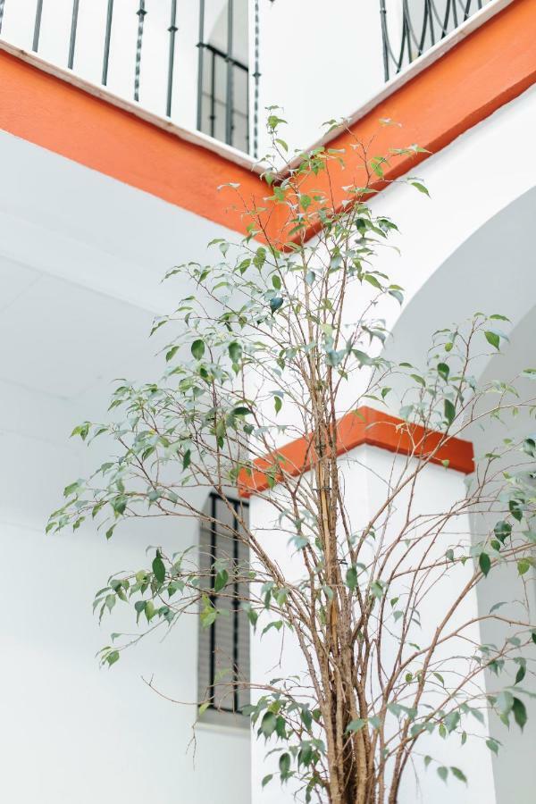 One & Lux- Lagar Apartamento *