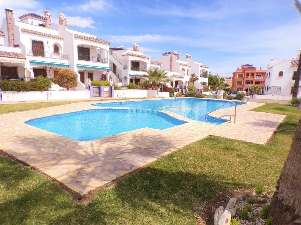 Violetas Villamartin (Valencia)
