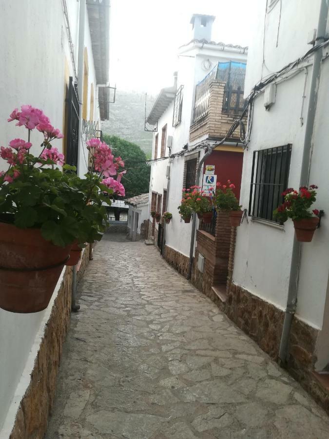 Vivienda Pineros Apartamento Arroyo Frío