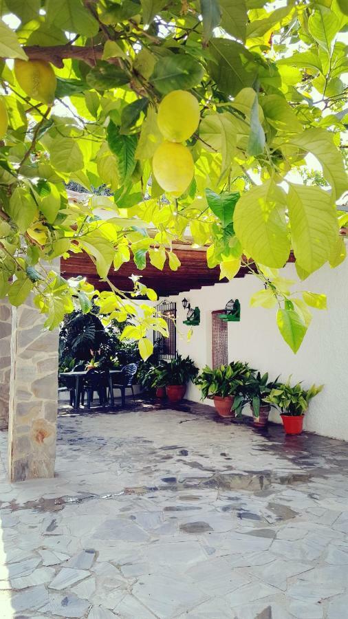 Cortijo Lalo *