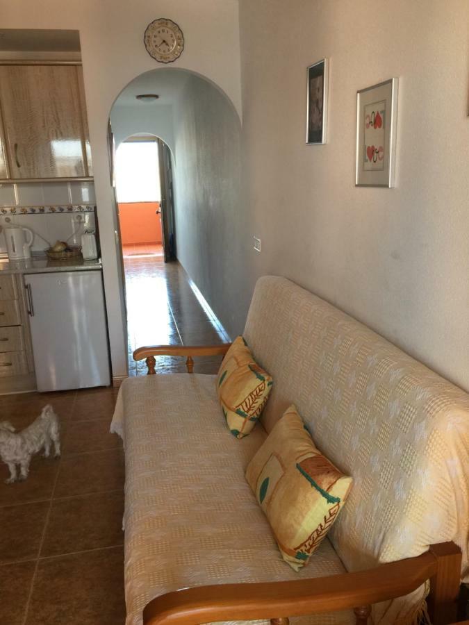 Apartamento Con Piscina En Apartamento *