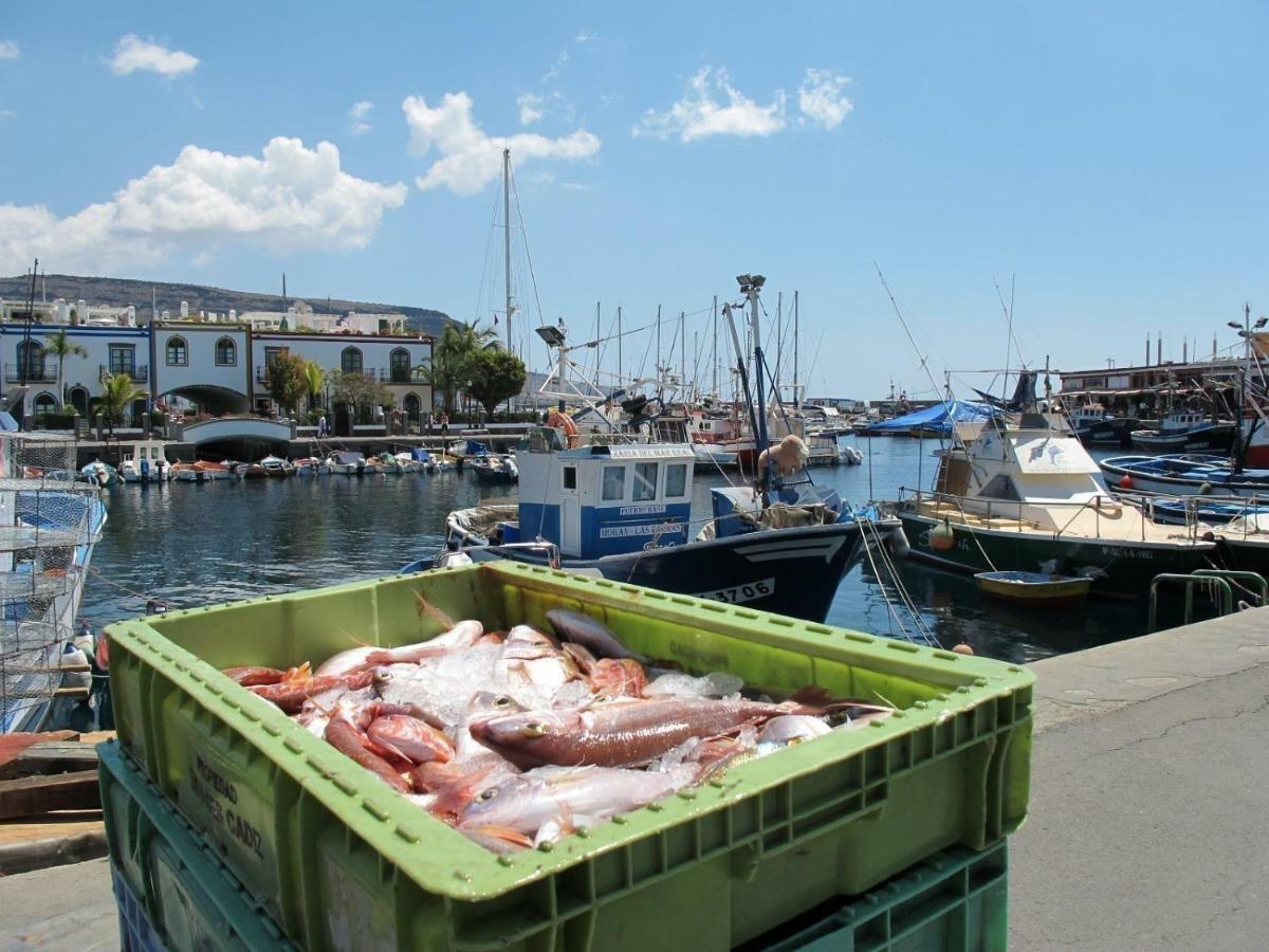 Sebco - Puerto De Mogan