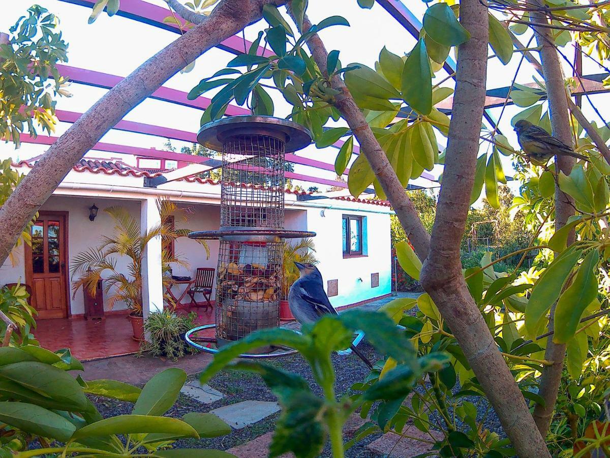 Holiday home La Casa De La Cartita