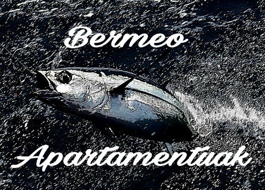 Apartamentos-bermeo