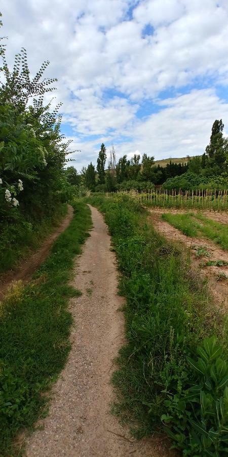 Entreviñas En El Corazón De La Rioja