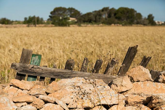 Ca Na Maria Teueta * Sant Ferran de Ses Roques