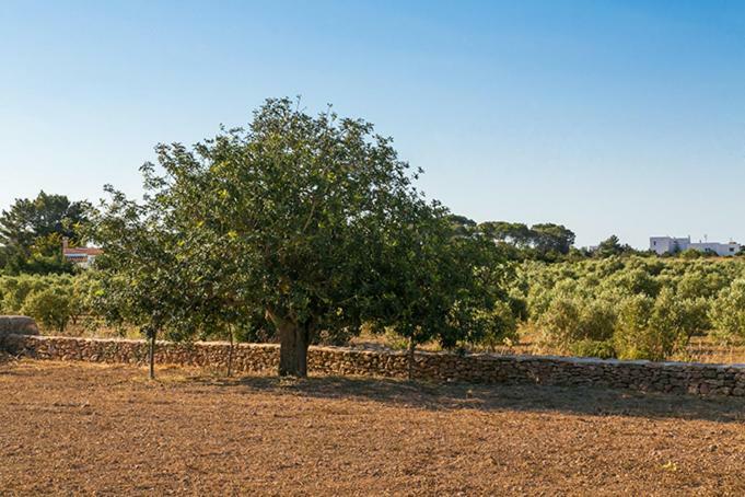Ca Na Maria Teueta Sant Ferran de Ses Roques