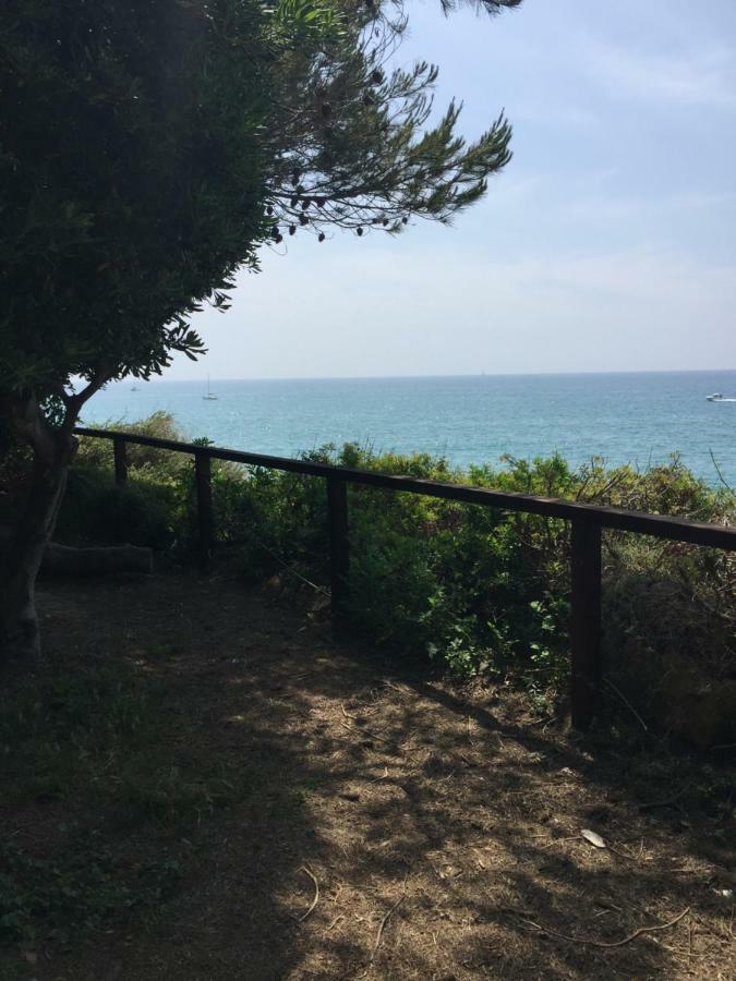 Chez Ana