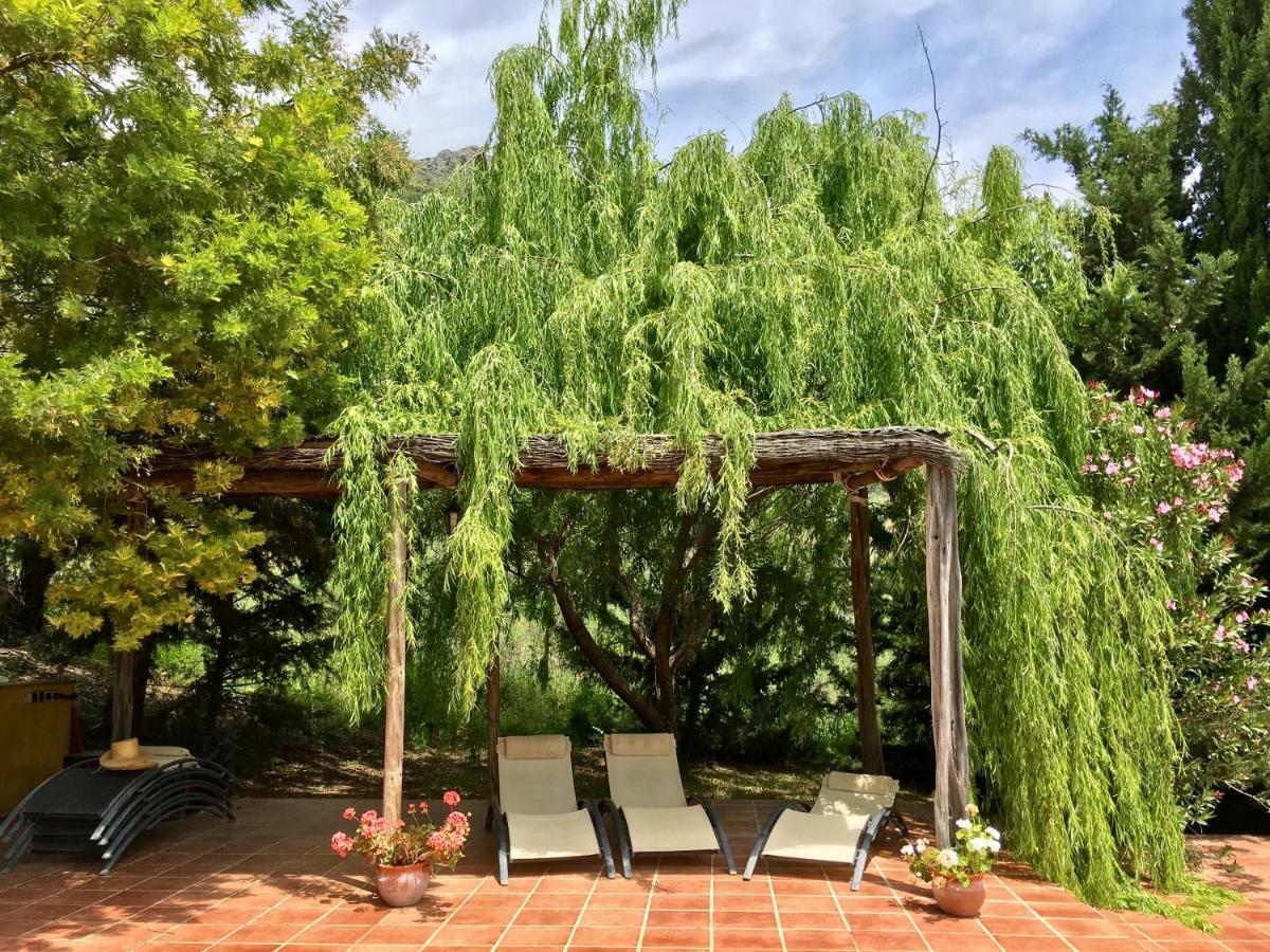 Cortijo Arroyo Del Moro Holiday home Gaucin