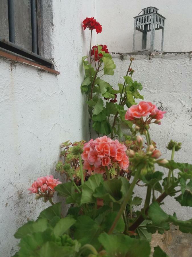 Сasa de vacaciones La Casa Del Pocito