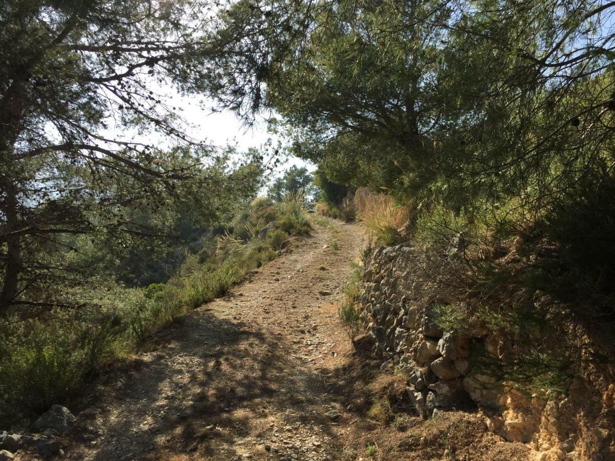 Campo de lujo La Yurta Naranja Finestrat