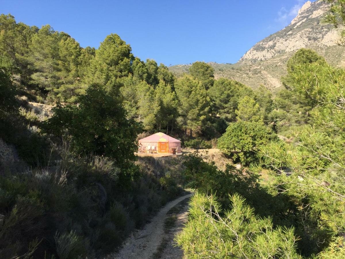 Campo de lujo La Yurta Naranja *