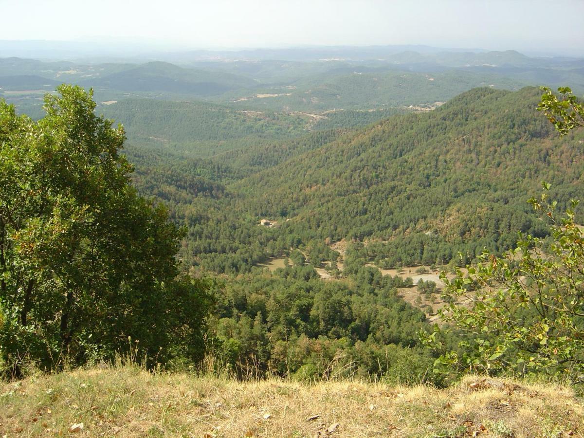 Apartment Cal Miquel *