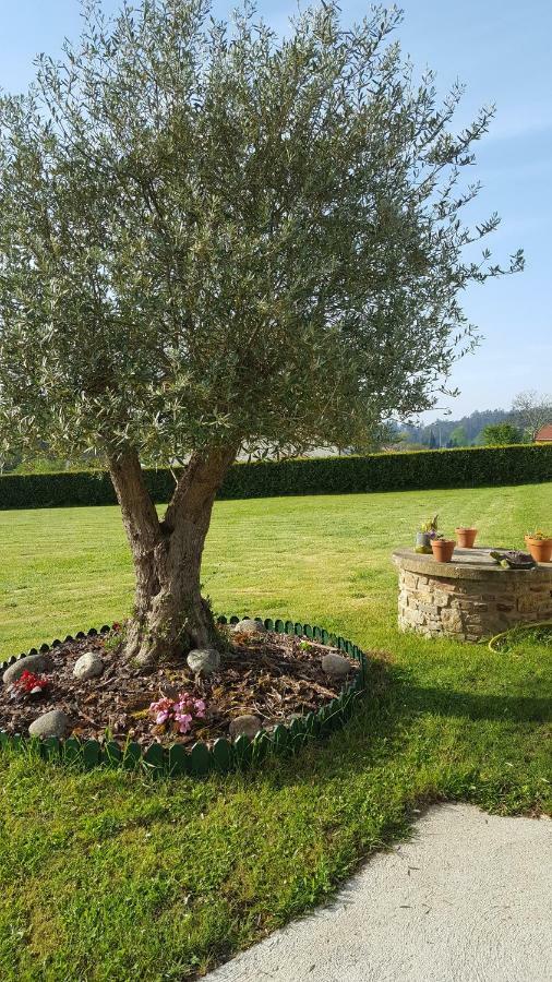 Casa rural Casa Torreira Amés