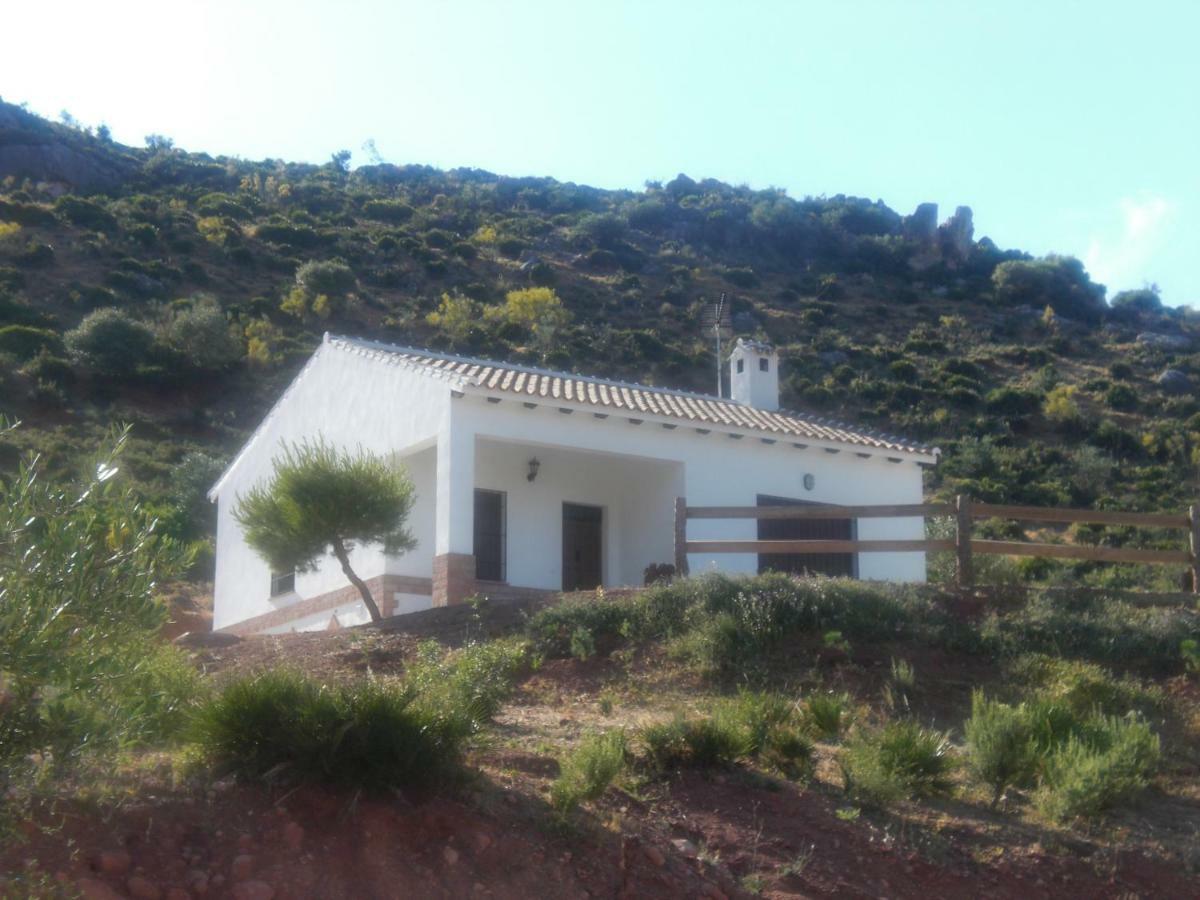 La Solana De Turon. El Pino
