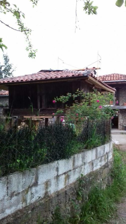Flor De Pomar Holiday home *
