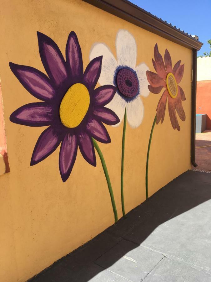 Violetas *